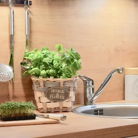 Strandblick 9 아파트 징스트